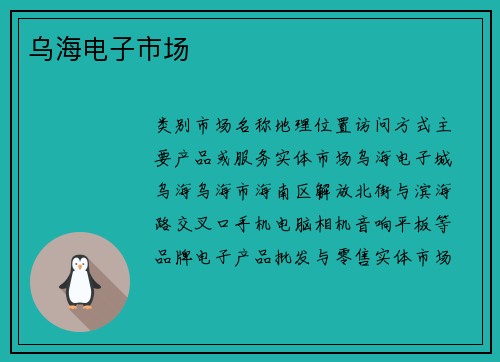 乌海电子市场